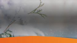 online marketing nieuws week 51 2021