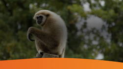 online marketing nieuws