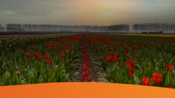 online marketing nieuws