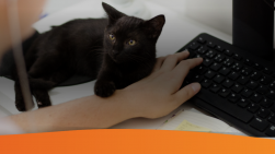 Online Marketing Nieuws Week 19